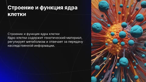 Строение и функция ядра
