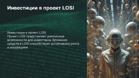 Инвестиции в проект LOSI