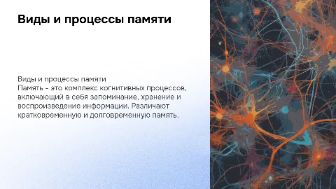 виды и процессы памяти