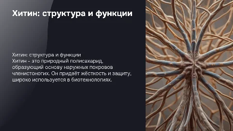 Хитин