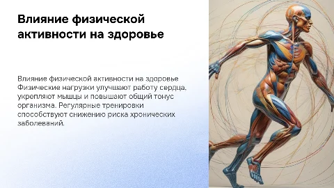 влияние физических нагрузок на организм человека