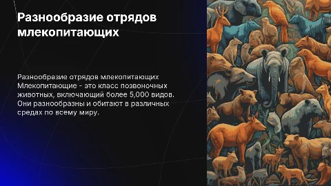 Отряды млекопитающих
