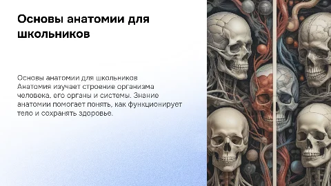 Анатомия для школьников