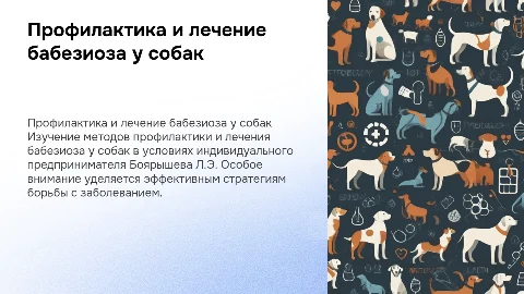 Организация профилактической работы при бабезиозе у собак