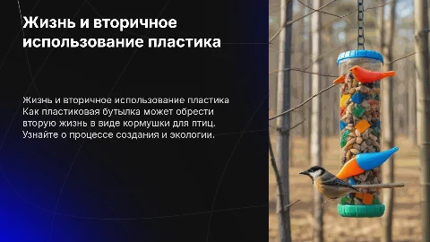 Жизнь пластиковой бутылки, изготовление кормушки для птиц