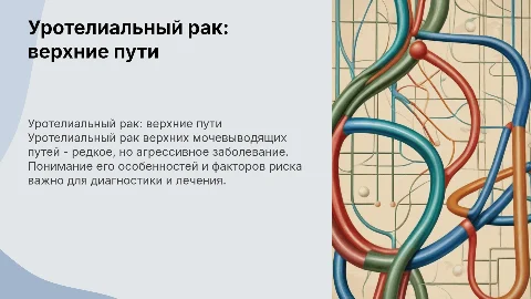 уротелиальный рак верхних мочевыводящих путей презентация