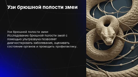 Узи брюшной полости змеи