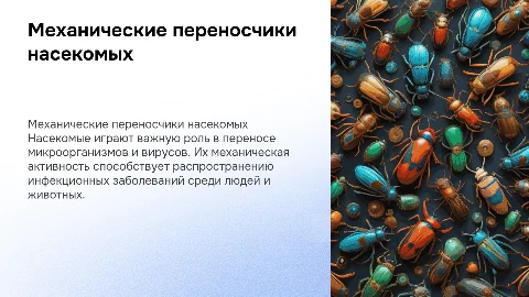 насекомые механические переносчики