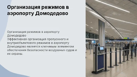 Организация пропускного режима в аэропорту Домодедово