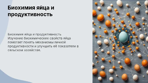 Биохимия яйца и яичной продуктивности