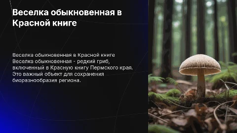Веселка обыкновенная: редкий гриб Пермского края