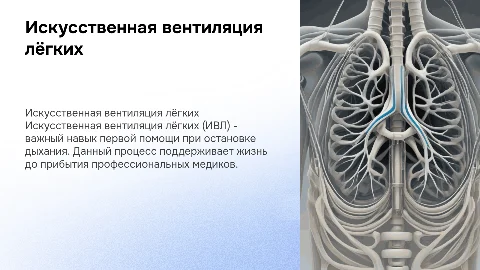 Искусственная вентиляция лёгких: первая помощь на улице