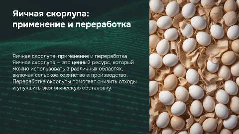 яичная скорлупа применение и переработка