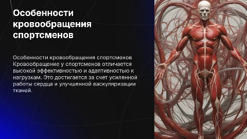особенности кровообращения спортсменов