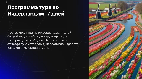 Программа тура по Нидерландам 7 дней