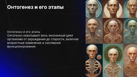 Презентация об онтогенезе: этапы и возрастная периодизация