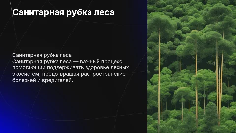 Санитарная рубка леса