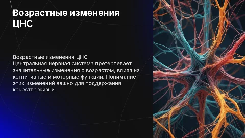 центральные нервные системы возрастные особенности
