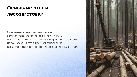 Основные этапы лесозаготовки