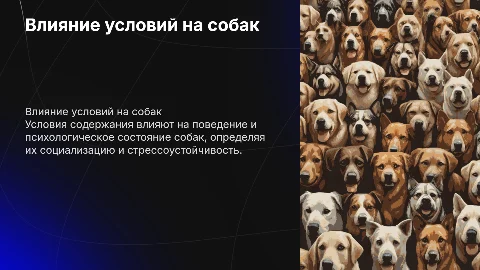 Влияние условий содержания на поведение и психологию собаки