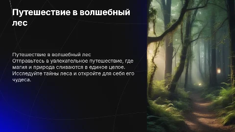 Путешествие в волшебный лес