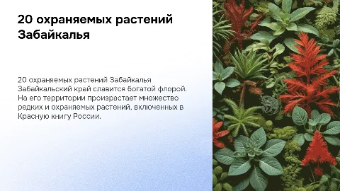 20 охраняемых растений Забайкальского края