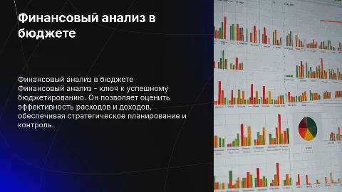 Финансовый анализ в бюджетном процессе