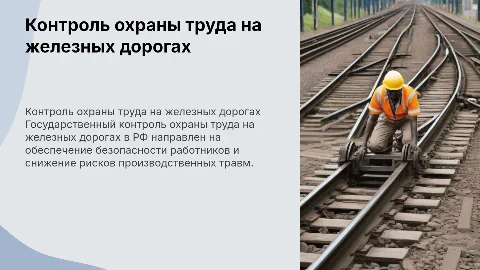 Государственный контроль охраны труда желездных дорог в РФ