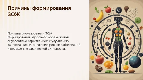 причины формирования зож