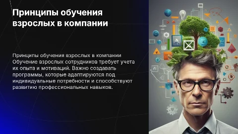 Принципы обучения взрослых сотрудников в организации