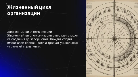 Основные аспекты жизненного цикла организации
