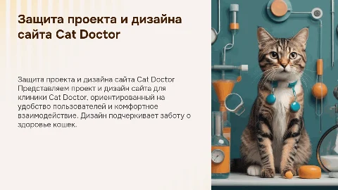 Защита проекта и дизайна сайта клиники Cat Doctor