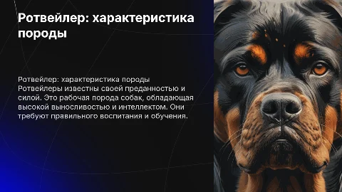 ротвейлер
