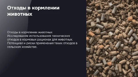 отходы технического производства в кормлении животных