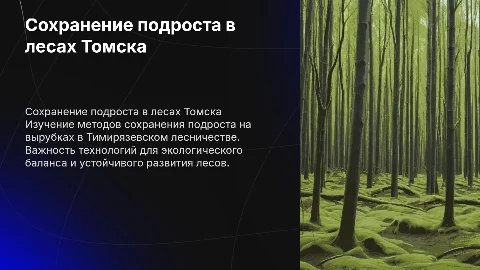 Сохранение подроста на вырубках лесов Томска