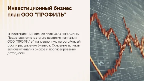 Инвестиционный бизнес план компании ООО"ПРОФИЛЬ"