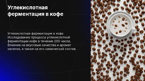 ферментации в кофе углекислотная ферментация, 200 часов