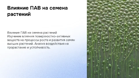 Влияние ПАВ на рост и развитие семян высших растений