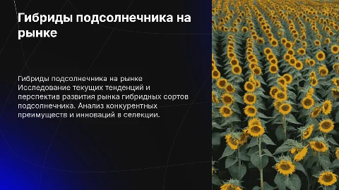Гибриды подсолнечника на рынке