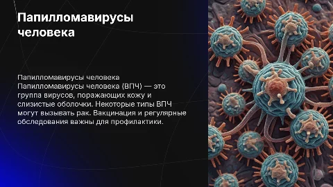 Папилломавирусы человека