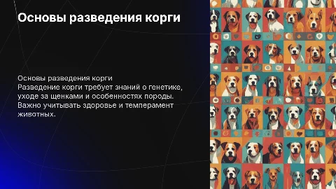 Разведение корги
