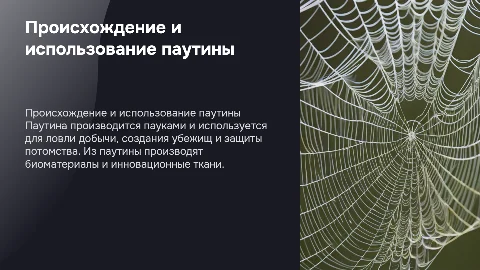 Что делают из паутины и откуда она берется?