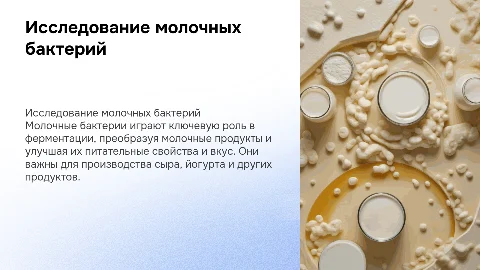 Исследование молочных бактерий и их роль в ферментации