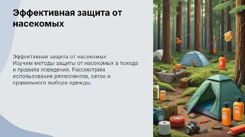 Защита от насекомых в походе и правила поведения