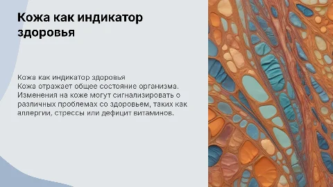 Кожа-зеркало здоровья