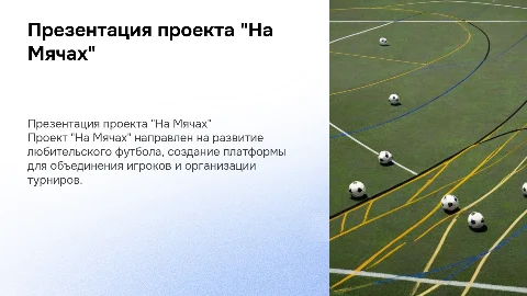 Презентация проекта "На Мячах"