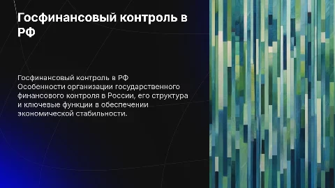 Особенности государственного финансового контроля в РФ