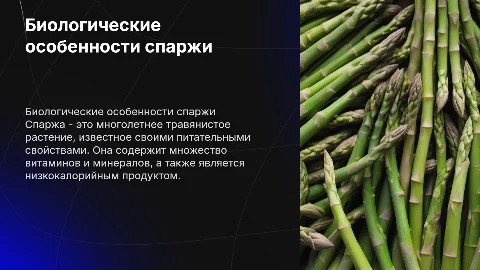 Биологические особенности спаржи