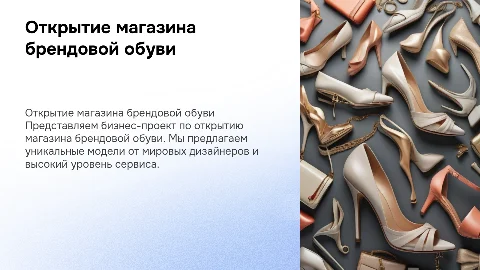 бизнес-проект открытие магазина брендовой обуви