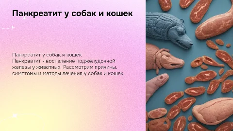панкреатит у собак и кошек